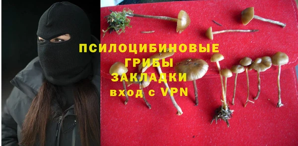 метадон Дмитровск